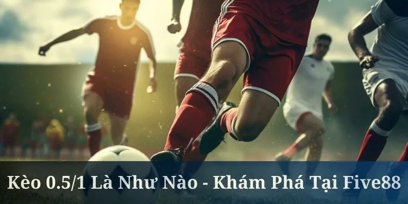 Kèo 0.5/1 là như nào